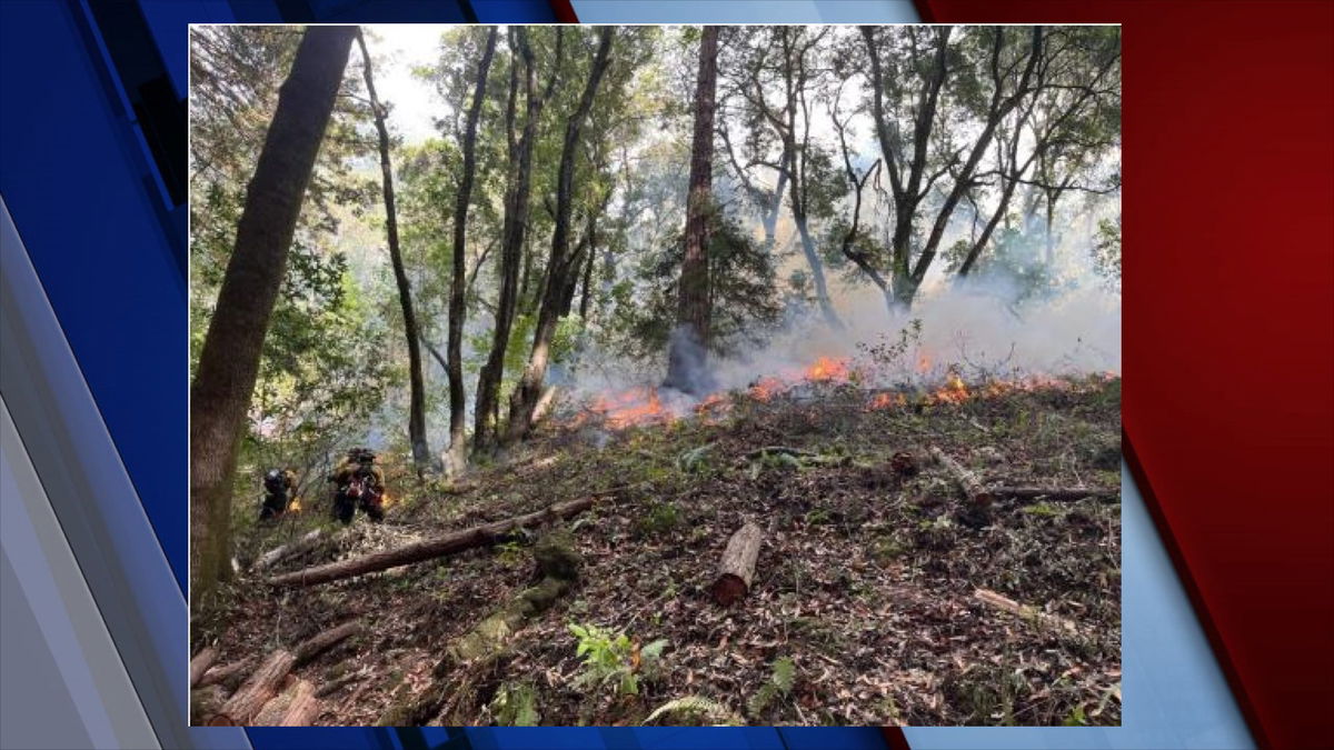 Prescribed burn at Wilder Ranch State Park scheduled to take place