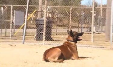 The highly-trained K-9 officer Onyx went missing but was found in someone's backyard in Pottawatomie County