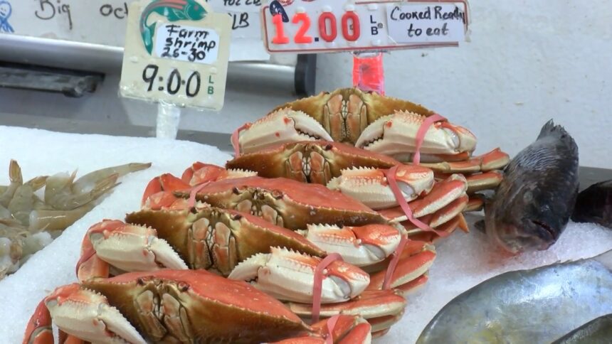 Dungeness crab season officially opens on the Central Coast on Thursday