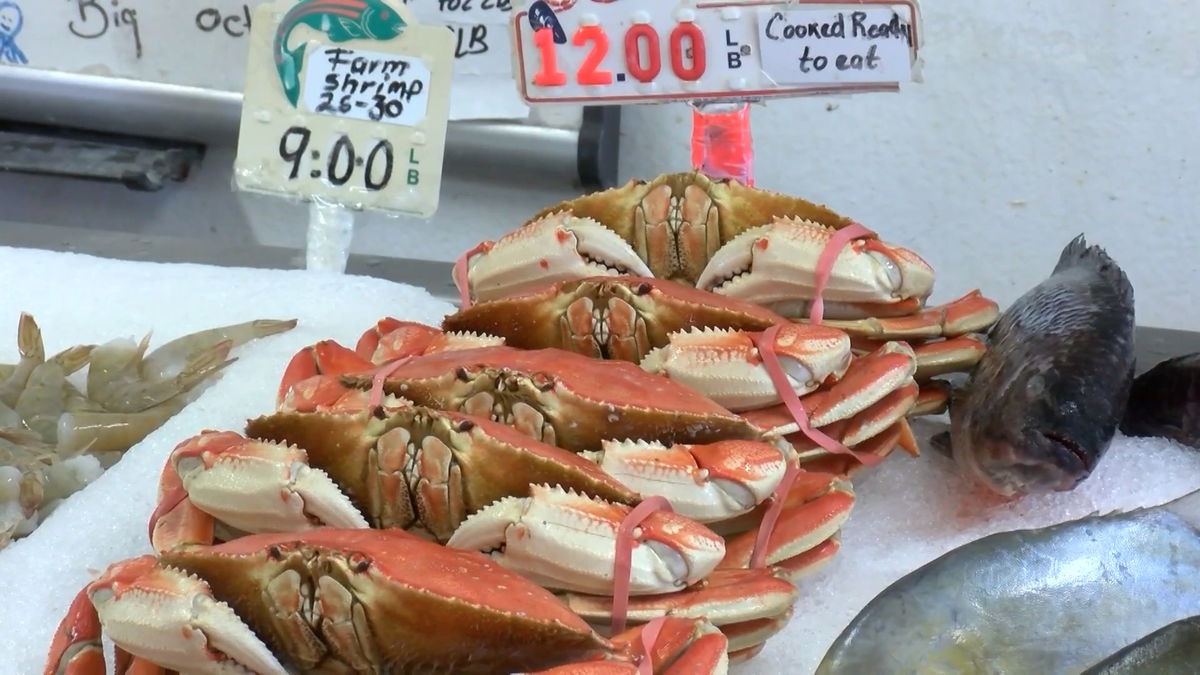 Dungeness crab season officially opens on the Central Coast on