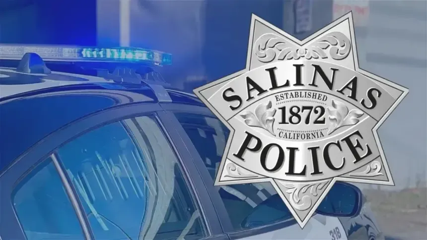 Polisen söker efter misstänkt för inbrott i cannabisföretag i Salinas – KION546