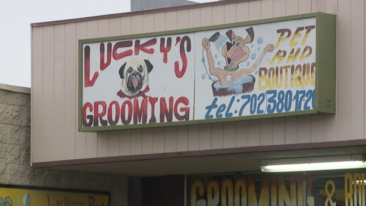 <i>KTNV via CNN Newsource</i><br/>Several dog owners in Las Vegas are accusing a groomer of mistreating their pets.