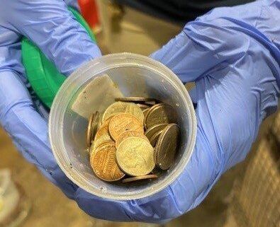 A total of 70 metal coins were found inside Thibodaux
