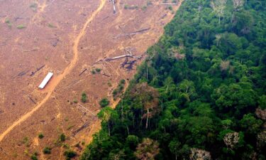 View of a deforested and burning area of the Amazon rainforest in the region of Labrea