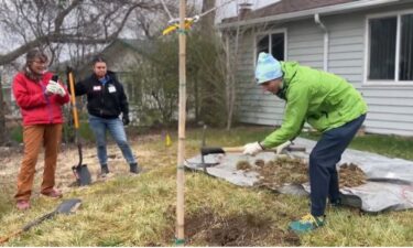 Denver's "Anita Needs a Tree" campaign and Groundwork Denver are working to plant 200 trees throughout Commerce City and Sheridan from April 19 to May 4.