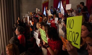 Gun reform activists protest SB 1325 in Nashville