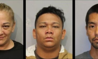 Hawaii Island Police arrested three people on May 18 during a raid in the Hawaiian Paradise Park Subdivision. They targeted a residence where an estimated 100 people were attending an illegal cockfighting event.