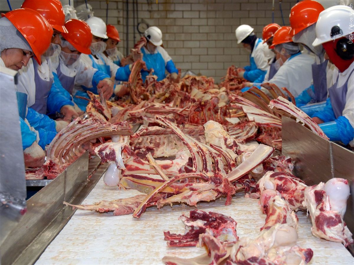 Slaughterhouse. Photo: USDA / Alice Welch