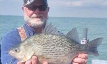 Scott Smith now holds a state record after catching what he called a "monstrous" white perch on Lake St. Clair.