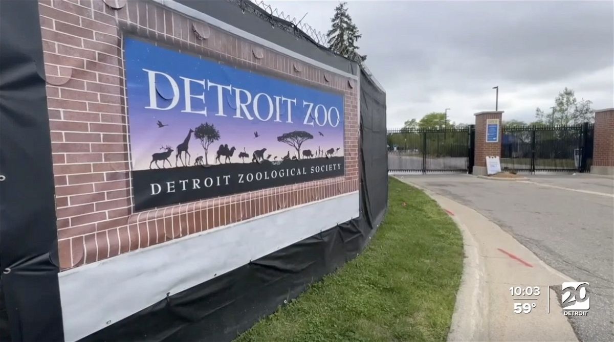 <i>WXYZ via CNN Newsource</i><br/>The WXYZ team called the Detroit Zoo to ask if they know anything about the rogue bird