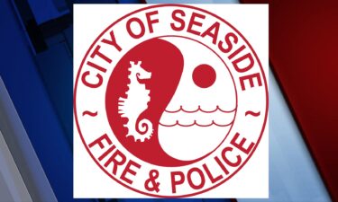 Seaside Fire and Police