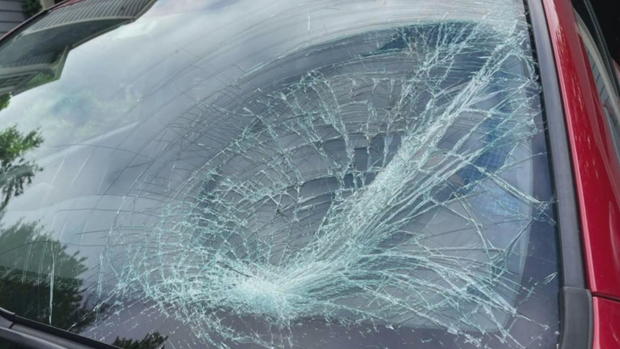 <i>WBZ via CNN Newsource</i><br/>Joan Ladik said a turkey flew into the windshield of the car when she and her husband were on their way home from Dunstable.