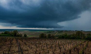 The powerful supercell storm hit the Chablis region on May 1 destroyed vineyards in a matter of minutes.