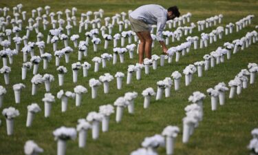 Each vase of flowers in the Gun Violence Memorial that was set up on the National Mall in 2022 represented one of the 45