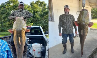 A 95-pound flathead catfish was recently caught at Pine Creek Reservoir in McCurtain County.