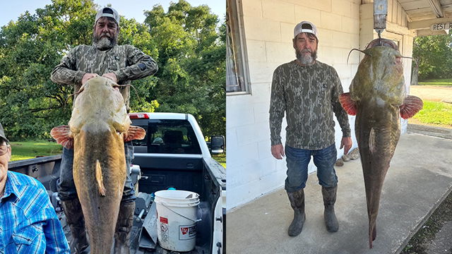 <i>ODWC/KOCO via CNN Newsource</i><br/>A 95-pound flathead catfish was recently caught at Pine Creek Reservoir in McCurtain County.