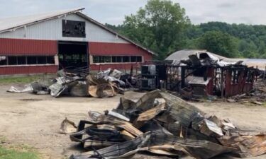 A multi-generational dairy farm in Milton is still recovering from a devastating fire.
