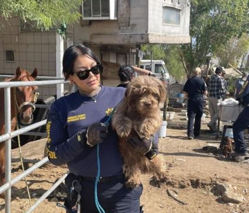 <i>Riverside County Animal Services/KCAL/KCBS via CNN Newsource</i><br/>Dozens of dogs will soon need a new home after animal control officers found them surrounding their owner's body in rural Riverside County.