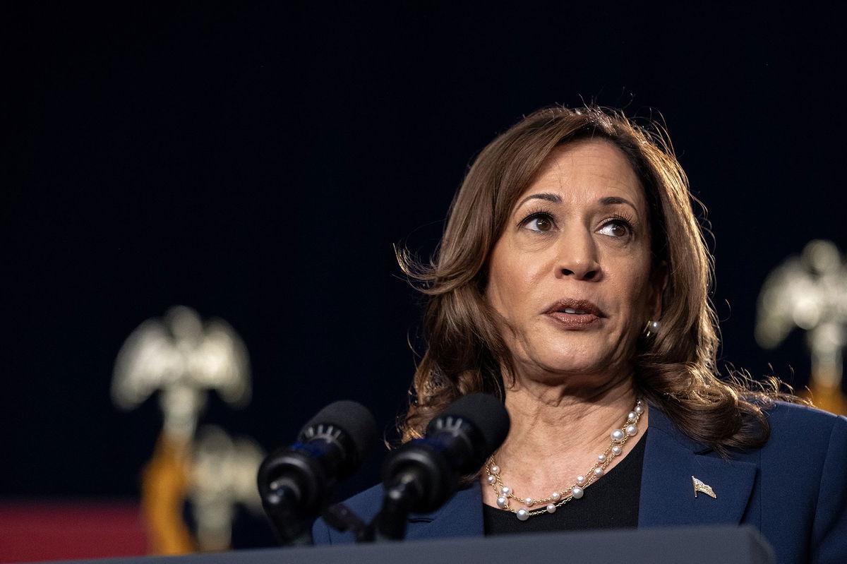 <i>Jim Vondruska/Getty Images via CNN Newsource</i><br/>Democratic presidential candidate Vice President Kamala Harris speaks to supporters during a campaign rally at West Allis Central High School on July 23