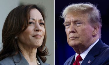 Vice President Kamala Harris is expected to unveil her plan to help make homes more affordable. Although analysts cheered some of her plans to assist buyers