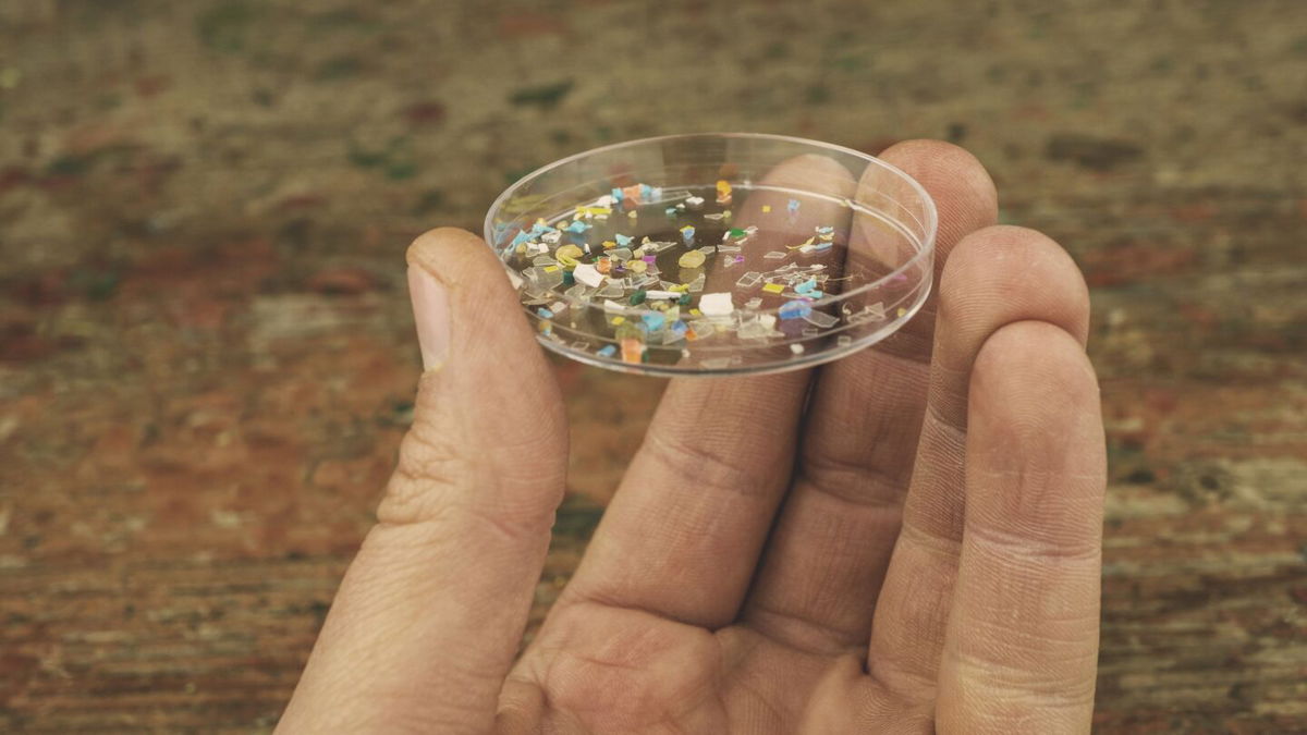 <i>Svetlozar Hristov/iStockphoto/Getty Images via CNN Newsource</i><br/>Microplastics can sometimes be seen with the naked eye and nanoplastics cannot.