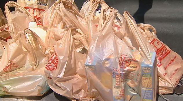 <i>KCAL/KCBS via CNN Newsource</i><br/>Lawmakers have passed a pair of identical bills to ban all plastic grocery bags in the state of California