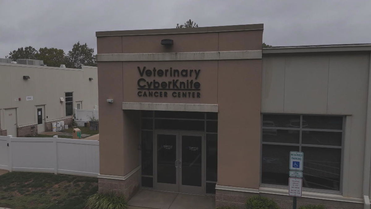 <i>KYW via CNN Newsource</i><br/>A high-tech kind of radiation designed for people is also being used for dogs and cats with cancer. The only dedicated veterinary center providing this treatment is in Malvern