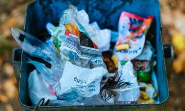 food waste, associated press, national