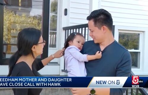 Surveillance video shows the scary moment when a red-tailed hawk swooped down at a mother and her 2-year-old daughter while they were playing outside in Needham