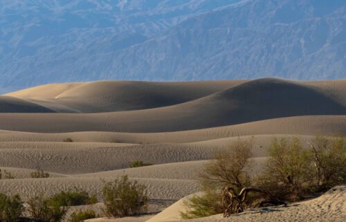 Summers in Death Valley National Park can be dangerous when visitors don't take all the precautions.