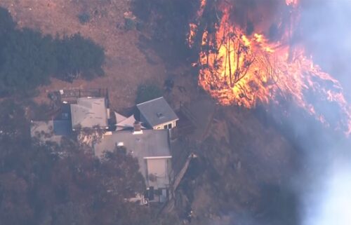 A fast-moving vegetation fire broke out Friday afternoon in the hills of Oakland