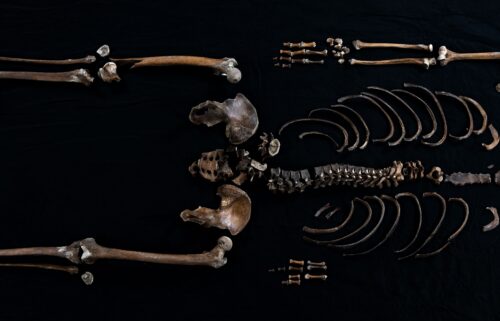 Multiple excavations have helped researchers piece together Well-man's skeleton.