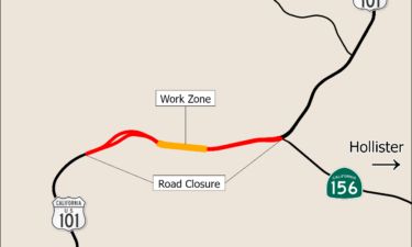 highway 101, tree removal