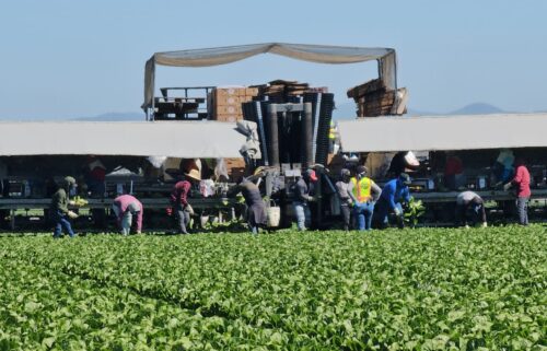 immigration, farm workers, santa cruz county