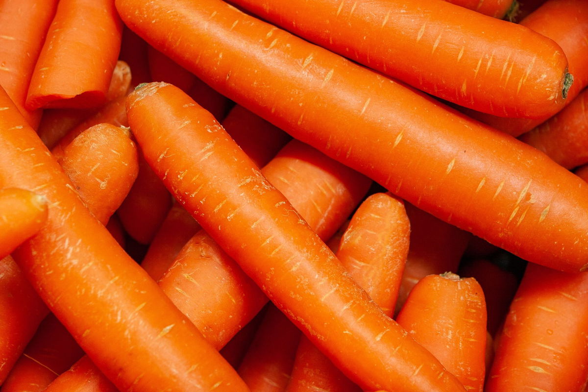 <i>Marianne Purdie/Moment RF/Getty Images via CNN Newsource</i><br/>The carrot E. coli outbreak has led to one death and 15 hospitalizations across 18 states.