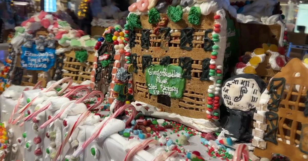 <i>WCBS/WLNY via CNN Newsource</i><br/>The Guinness World Record holder for the largest gingerbread village is Gingerbread Lane