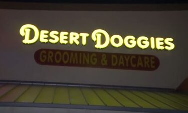 Manda Baker owns Desert Doggies Dog Salon in Las Vegas. She is stepping up to help wildfire victims.