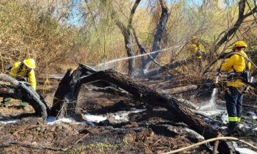 Otro incendio forestal