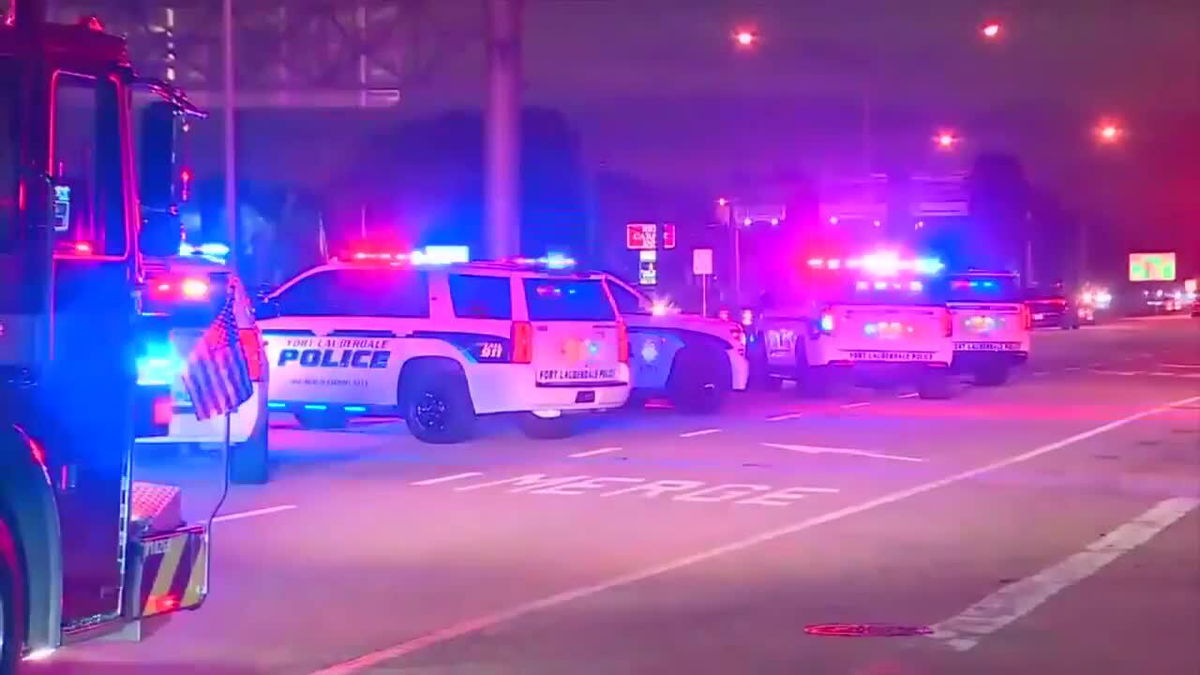 <i>WSVN via CNN Newsource</i><br/>A man who