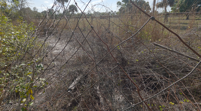<i>From WBBH via CNN Newsource</i><br/>Large amounts of rusty barbed wire along an ATV trail north of the Orangetree community