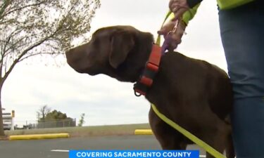 Before you go in the water at Rancho Seco Lake