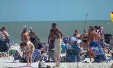 A chaotic Fort Myers Beach altercation resulted in one person losing his ear and another being arrested by Lee County deputies.