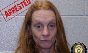 Detectives captured the dogs and contacted their owner