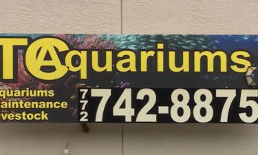 The owner of TC Aquariums