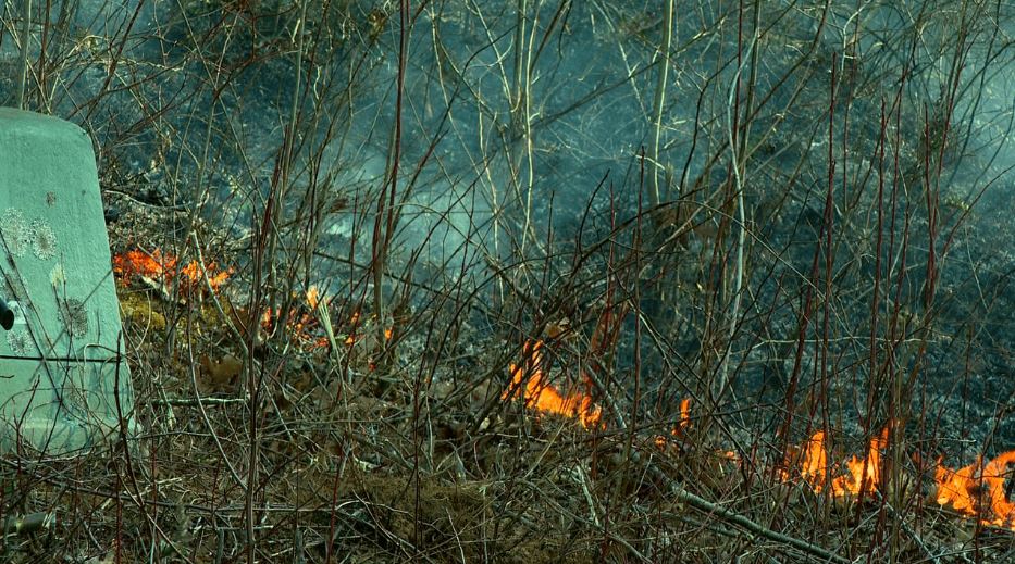 <i>WLOS via CNN Newsource</i><br/>More than 100 firefighters
