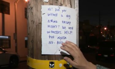 Police are searching for the owner of a pit bull that attacked and killed a toy poodle dog in Santa Monica on April 11.