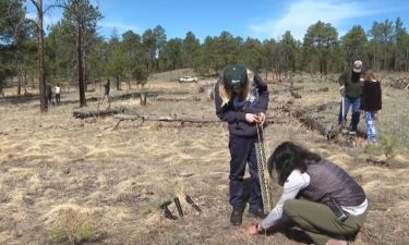 More than 20 students from the ‘TRACKS’ program at Home School Academy trekked into the Black Forest burn scar to plant new life.