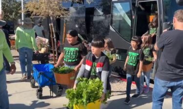 Students at Cactus Park Elementary School are learning all about hydroponics in the classroom through nonprofit Green Our Planet.
