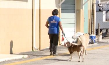 A dog went missing after it escaped from a boarding facility in Altamonte Springs. Meanwhile