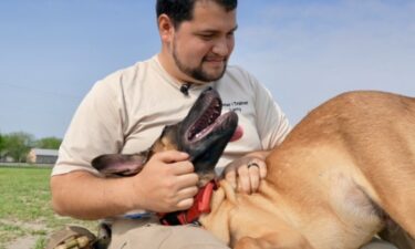 Army veteran Larry Vasquez is using his skills to volunteer with the nonprofit Train a Dog